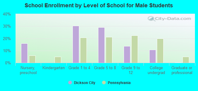 School Enrollment by Level of School for Male Students