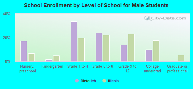 School Enrollment by Level of School for Male Students