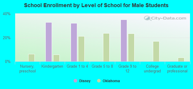 School Enrollment by Level of School for Male Students