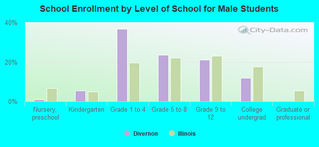 School Enrollment by Level of School for Male Students