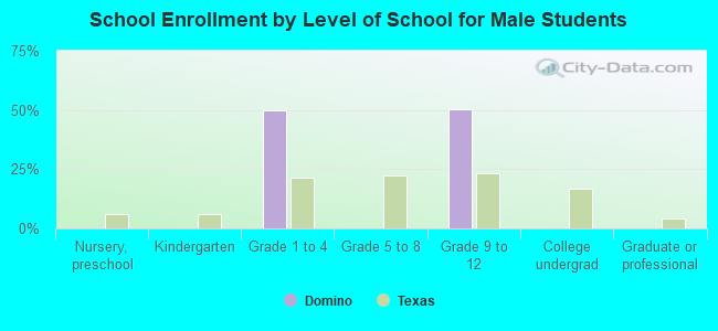 School Enrollment by Level of School for Male Students