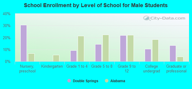 School Enrollment by Level of School for Male Students