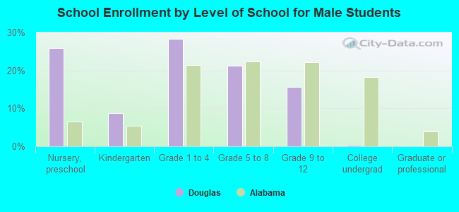 School Enrollment by Level of School for Male Students