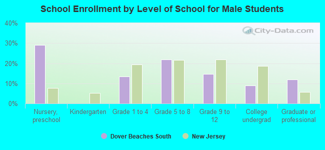 School Enrollment by Level of School for Male Students