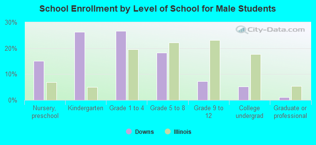 School Enrollment by Level of School for Male Students