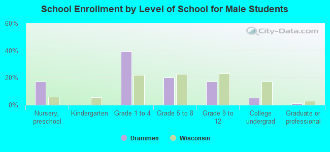 School Enrollment by Level of School for Male Students