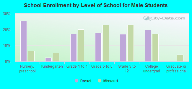 School Enrollment by Level of School for Male Students