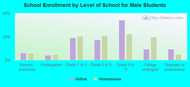 School Enrollment by Level of School for Male Students