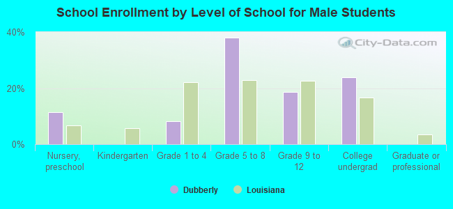 School Enrollment by Level of School for Male Students