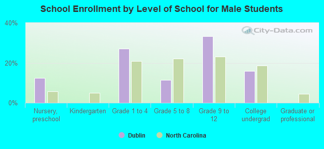 School Enrollment by Level of School for Male Students