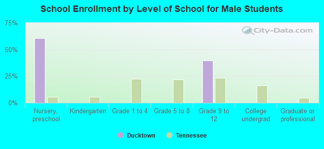 School Enrollment by Level of School for Male Students