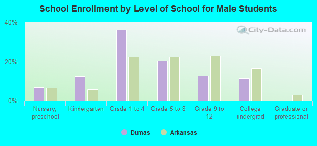 School Enrollment by Level of School for Male Students