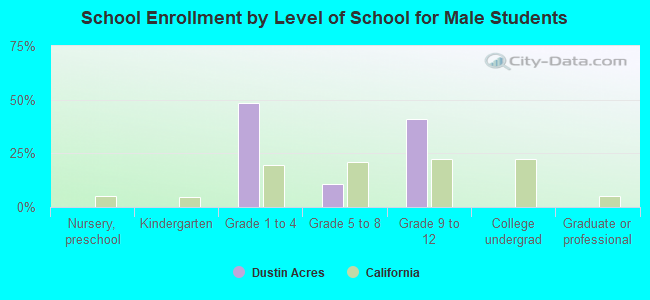 School Enrollment by Level of School for Male Students