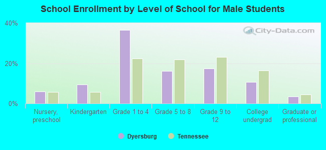 School Enrollment by Level of School for Male Students