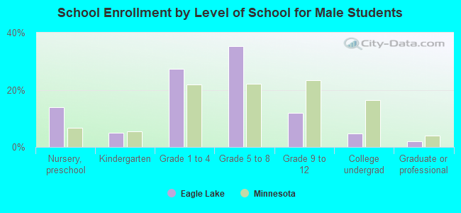 School Enrollment by Level of School for Male Students