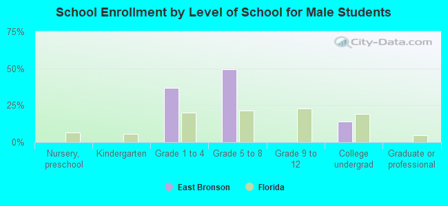 School Enrollment by Level of School for Male Students