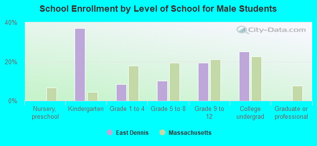 School Enrollment by Level of School for Male Students