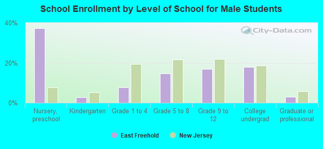 School Enrollment by Level of School for Male Students