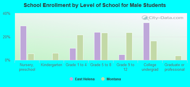 School Enrollment by Level of School for Male Students