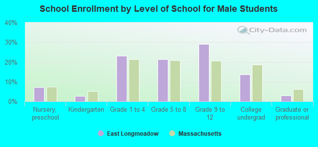 School Enrollment by Level of School for Male Students