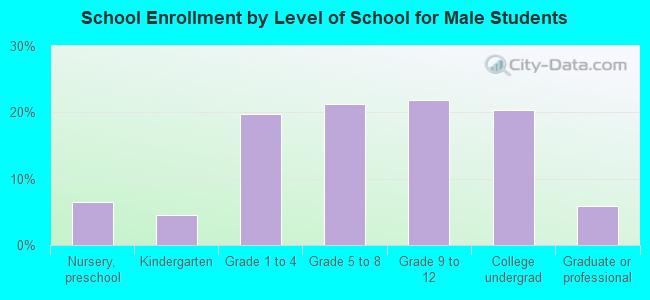 School Enrollment by Level of School for Male Students