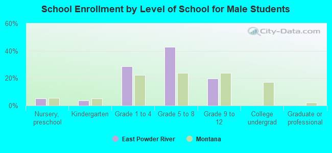 School Enrollment by Level of School for Male Students