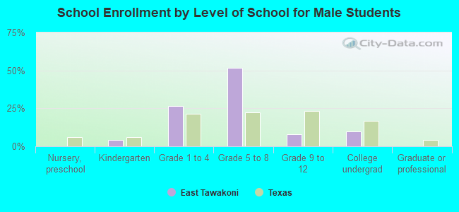 School Enrollment by Level of School for Male Students