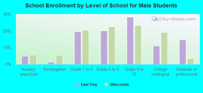 School Enrollment by Level of School for Male Students