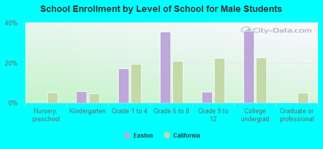 School Enrollment by Level of School for Male Students