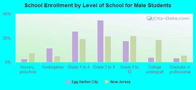 School Enrollment by Level of School for Male Students