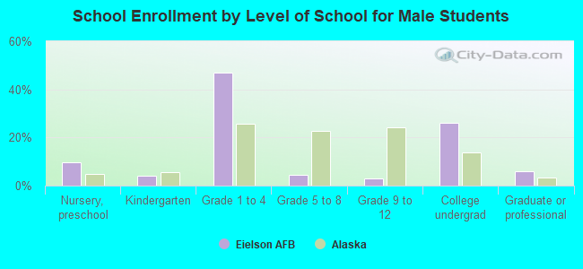 School Enrollment by Level of School for Male Students