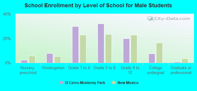 School Enrollment by Level of School for Male Students