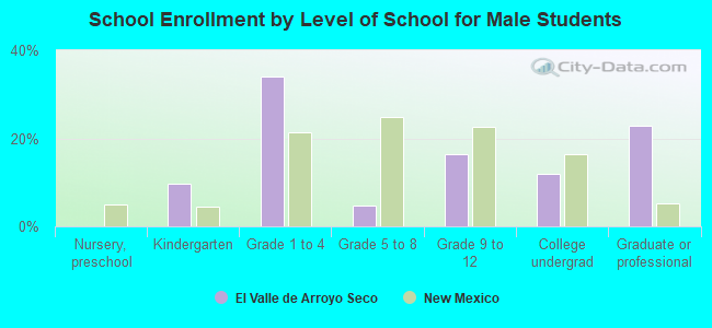 School Enrollment by Level of School for Male Students