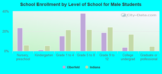 School Enrollment by Level of School for Male Students