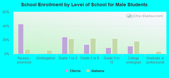 School Enrollment by Level of School for Male Students