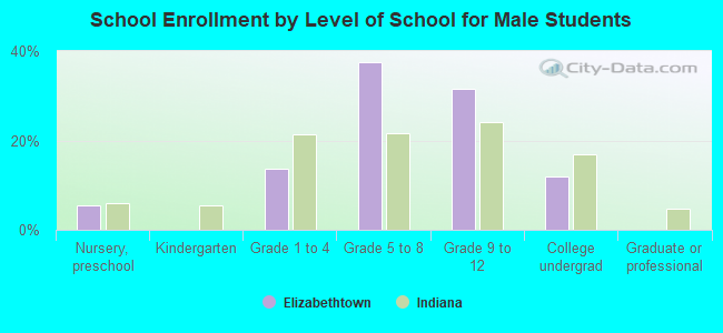 School Enrollment by Level of School for Male Students