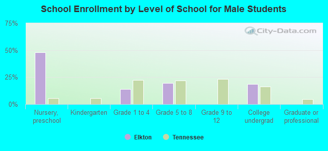 School Enrollment by Level of School for Male Students