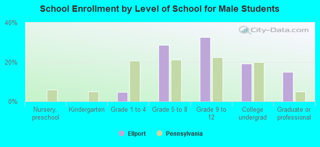 School Enrollment by Level of School for Male Students