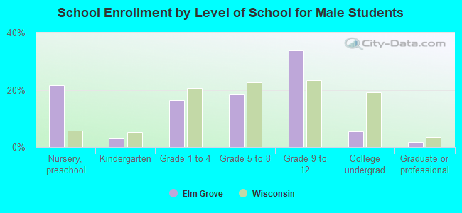 School Enrollment by Level of School for Male Students