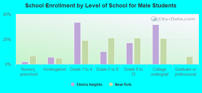 School Enrollment by Level of School for Male Students