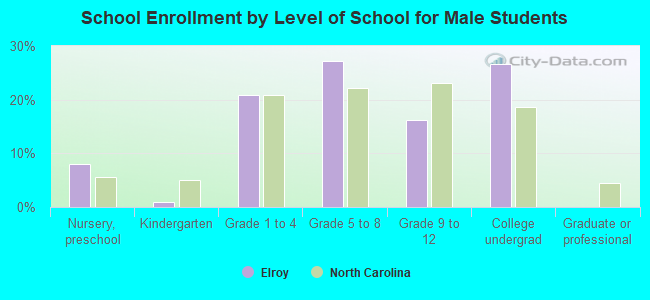 School Enrollment by Level of School for Male Students