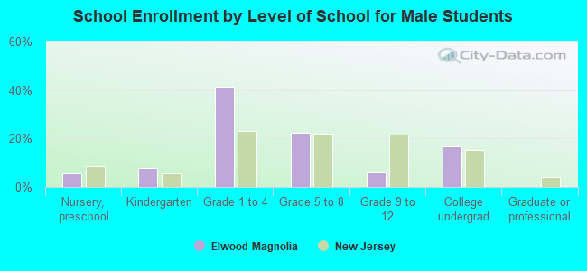 School Enrollment by Level of School for Male Students