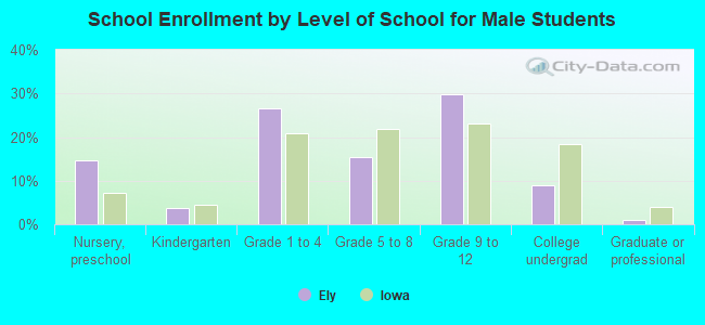 School Enrollment by Level of School for Male Students