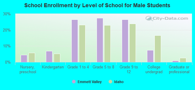 School Enrollment by Level of School for Male Students