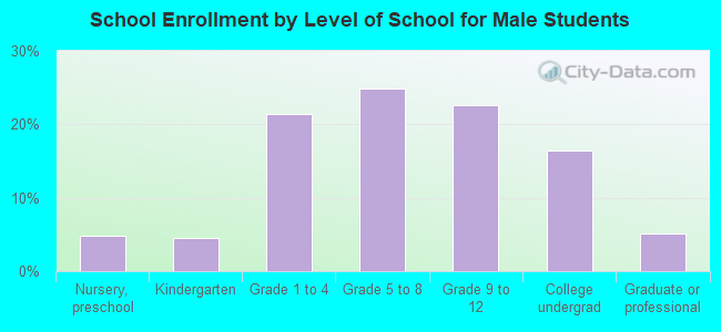 School Enrollment by Level of School for Male Students