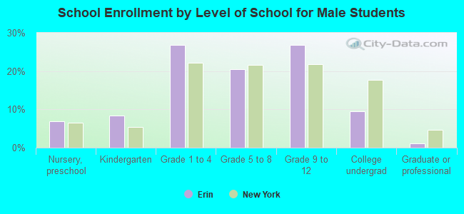 School Enrollment by Level of School for Male Students