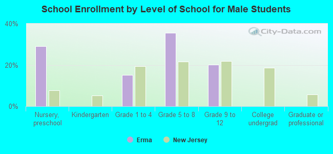 School Enrollment by Level of School for Male Students