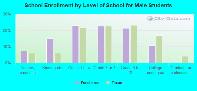 School Enrollment by Level of School for Male Students