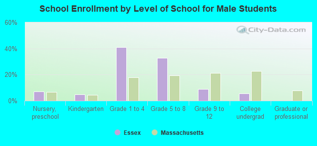 School Enrollment by Level of School for Male Students