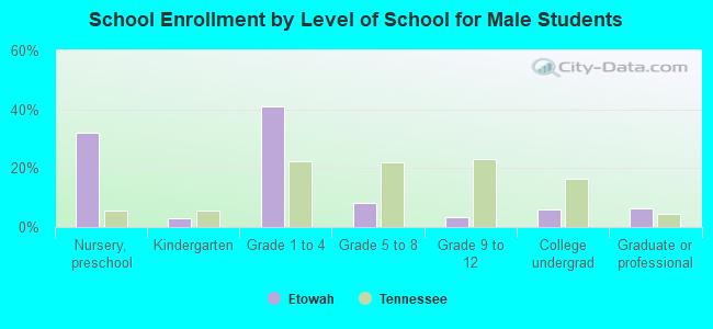 School Enrollment by Level of School for Male Students